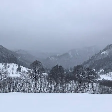 Forest Apartment-forest Escape Menzenschwand סאן בלאסיין