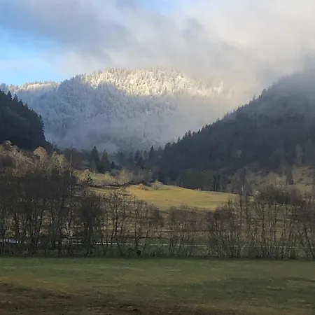 Forest Apartment-forest Escape Menzenschwand 3* Sankt Blasien