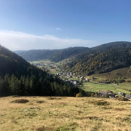 Forest Apartment-forest Escape Menzenschwand 3* سانت بلاسين