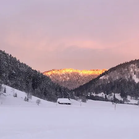 Guest house Forest Apartment-forest Escape Menzenschwand *