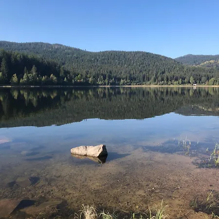 Forest Apartment-forest Escape Menzenschwand Pensionat