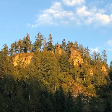 بيت ضيافة Forest Apartment-forest Escape Menzenschwand