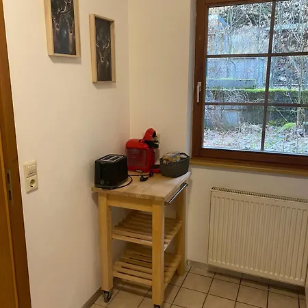 Forest Apartment-forest Escape Menzenschwand בית הארחה סאן בלאסיין