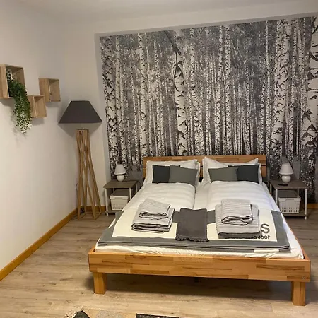 Forest Apartment-forest Escape Menzenschwand Guest house *