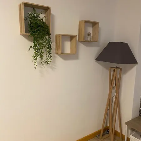 Forest Apartment-forest Escape Menzenschwand سانت بلاسين