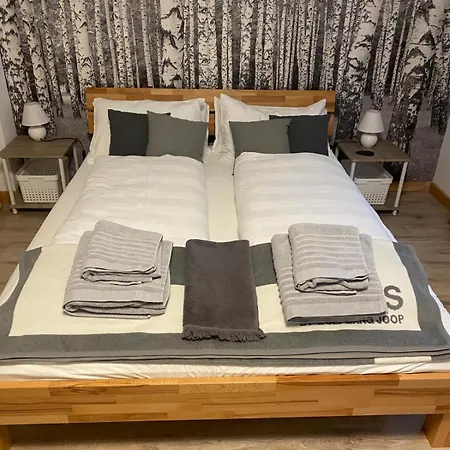 Forest Apartment-forest Escape Menzenschwand St. Blasien