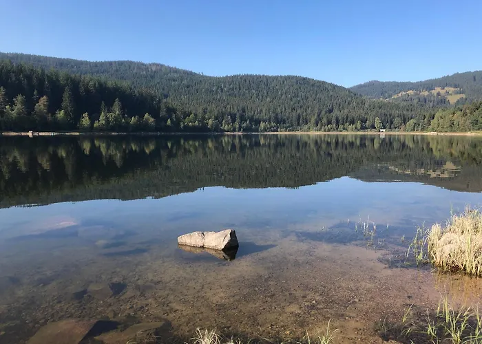 Forest Apartment-forest Escape Menzenschwand Pensjonat